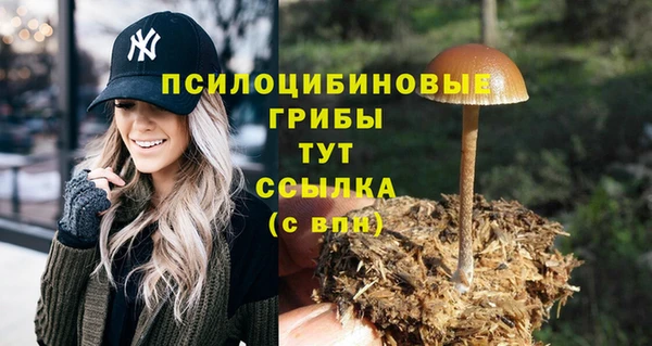 кокаин Алексеевка