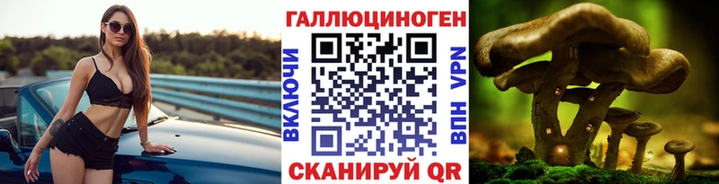 мориарти Telegram  Грайворон  Галлюциногенные грибы MAGIC MUSHROOMS 